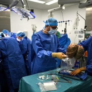 Yaşayan bir hastaya ilk karaciğer ksenotransplantasyonu. 171 gün hayatta kalır