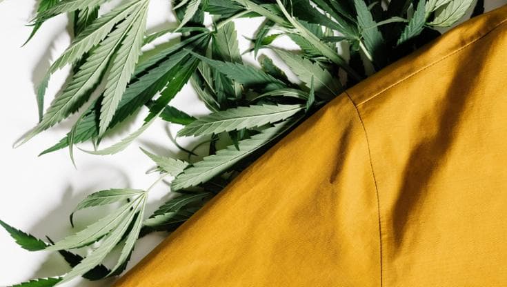 Canapa: la fibra green che unisce sport, tessuti sartoriali e bioedilizia