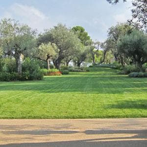 Quando il giardino diventa sostenibile (e buono da mangiare)