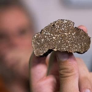 Dalla Città del cioccolato di Perugia ai funghi del Pollino, è gustoso l’inizio di novembre