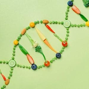 Uzun yaşamanın sırrı kaslarda