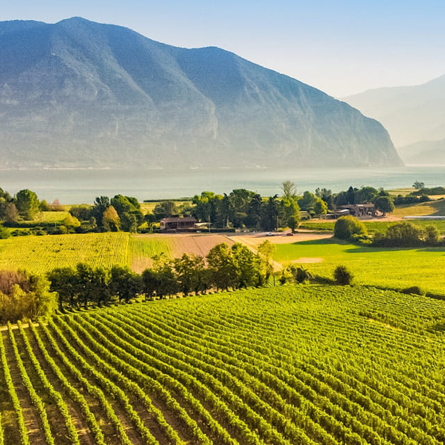 Franciacorta in ogni calice: la degustazione dei vini Muratori guidata da Cotarella