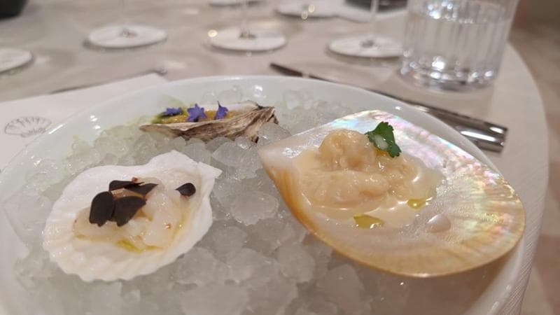 Supertuscan e cuore di palma, Barolo e rombo: i grandi vini italiani sfidano la cucina Usa di Bissel