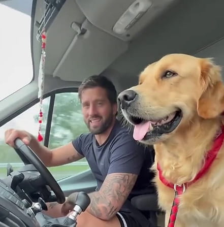 La rinascita di Teddy, il cane che aveva smesso di sperare dopo quattro ...