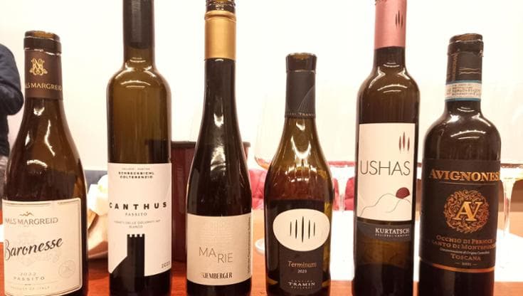 Dall’Alto Adige alla Sicilia, ecco i migliori vini passiti d’Italia