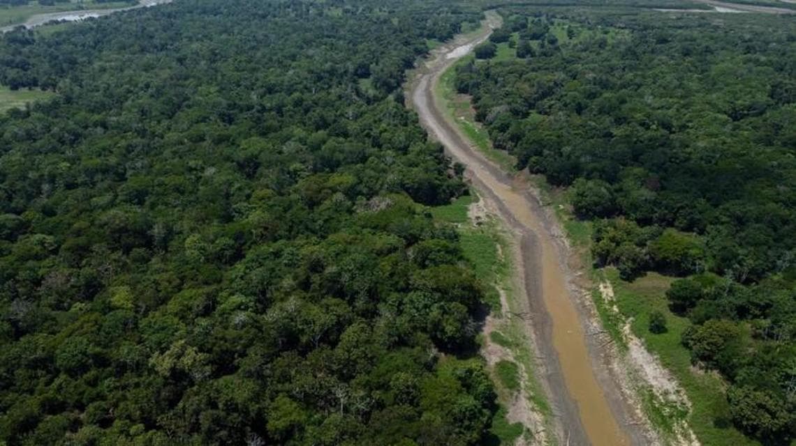 Un'immagine della deforestazione in Amazzonia per costruire una strada