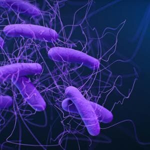 L’Europa invecchia, i batteri resistono: infezioni in crescita e antibiotici più deboli