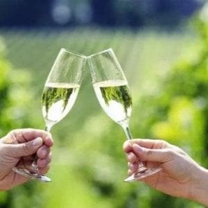 Vino, gli economisti: svolta nel 2027. Frescobaldi: “Piccolo non è più bello, rafforzare le imprese”