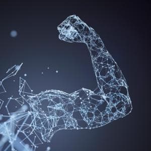 L’invecchiamento dei muscoli? È tutto un gioco di equilibri all’interno delle cellule