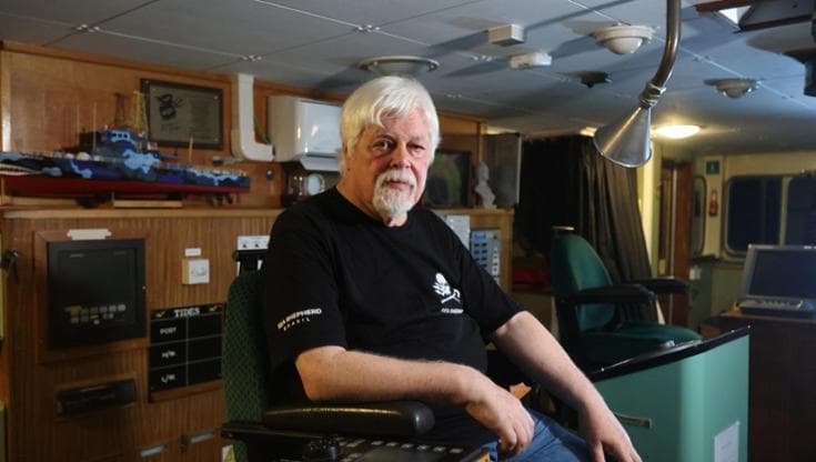 Paul Watson, attivista e fondatore di Sea Shepherd Conservation Society e della Captain Paul Watson Foundation