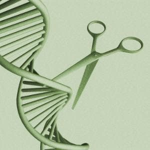 Colesterolo cattivo e trigliceridi, la terapia genica li dimezza: ecco come funziona