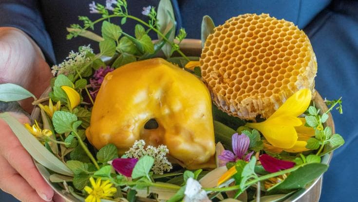 Piccione, miele e melagrana (le foto del servizio sono di Fabio Giamello)