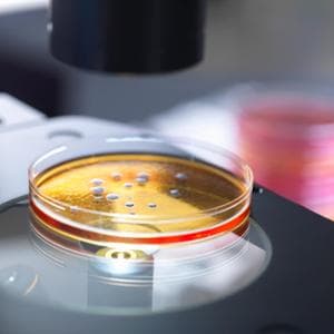 Antibiotico-resistenza: 12mila morti l’anno in Italia. Ma ora c’è una nuova terapia