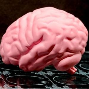 Ipertensione, così attacca in silenzio neuroni e vasi e minaccia cervello e memoria