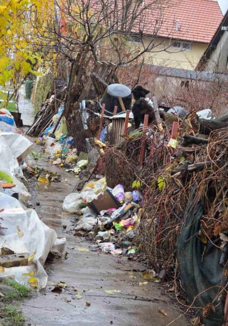 Pacenik, il cane che vive legato a una catena, senza cibo, nel degrado ...