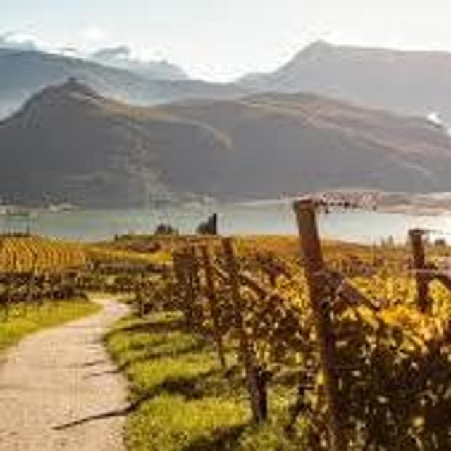 E il maestro di sci diventa wine expert: così l’Alto Adige mette le ali al vino