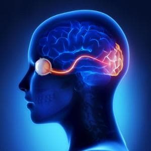 Cecità corticale: cosa succede quando è il cervello a non vedere