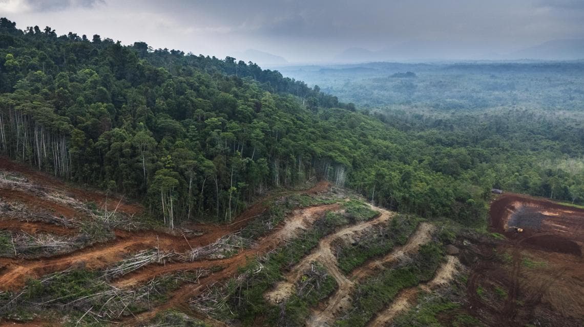 La deforestazione provocata dall'estrazione del Nickel. L'isola di Sulawesi è un hotspot mondiale di biodiversità ma al momento è minacciato dalla eccessiva deforestazione provocata dall'industria del Nickel. (Stefano Sbrulli / Source International)