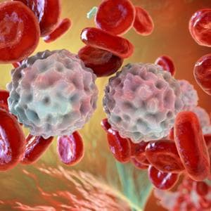 Leucemia linfatica cronica: la terapia target è efficace a lungo termine