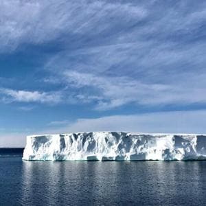 Microplastiche in Antartide: contaminato anche l’unico insetto autoctono