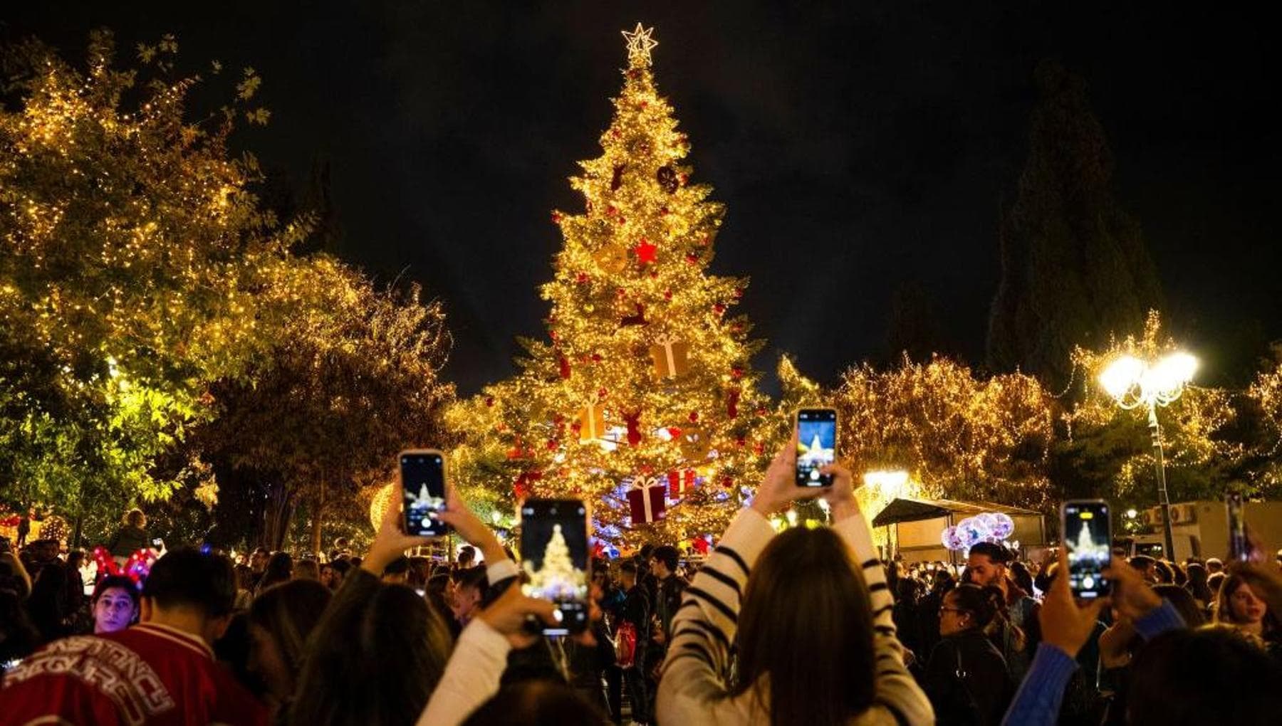 2025 年のクリスマス ギフトのアイデア: ツリーの下にある最高のスマートフォン