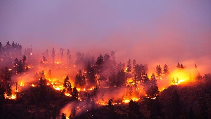 Gli incendi boschivi inquinano più di quanto si credesse