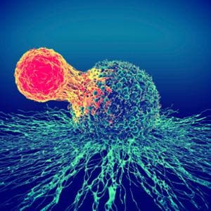 Riprogrammare le cellule per combattere il cancro: la rivoluzione della biologia sintetica