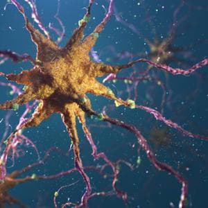Sclerosi multipla, un biomarcatore per capire chi può rispondere meglio alle terapie