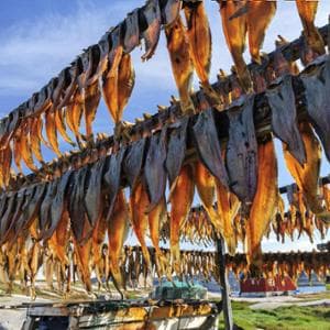 Groenlandia, quando il cibo è geopolitica: pesca, potere e identità a Nuuk