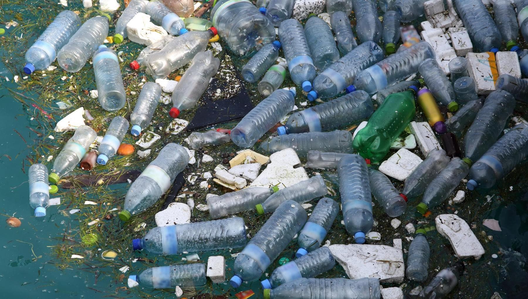 İnsan vücudundaki mikroplastikler, araştırmacıların hızını kesiyor