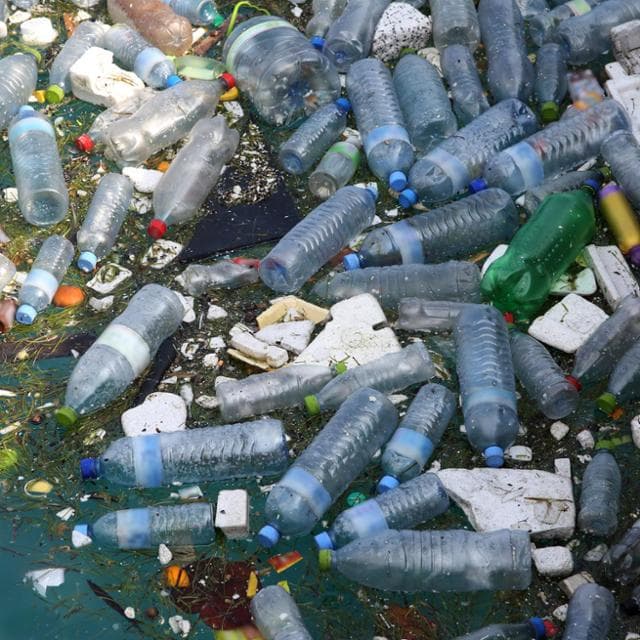 İnsan vücudundaki mikroplastikler, araştırmacıların hızını kesiyor