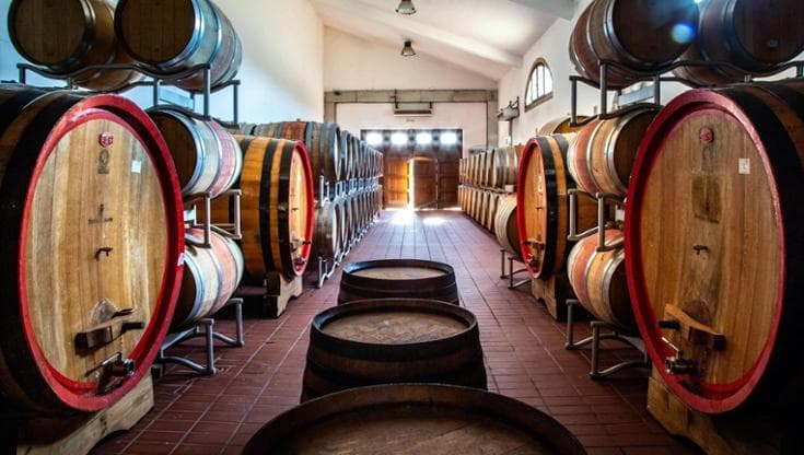 Enoturismo e sostenibilità, la cantina siciliana che da quasi 200 anni punta sull’innovazione