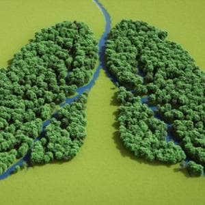 Clima e polmoni: il doppio legame tra cambiamenti climatici e malattie respiratorie