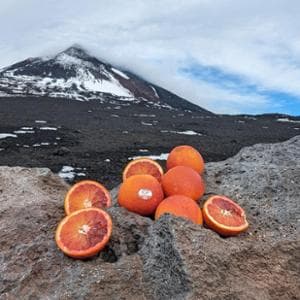 Quel rosso che accende tavola e calici: l’Arancia dell’Etna conquista cucina, dolci e cocktail