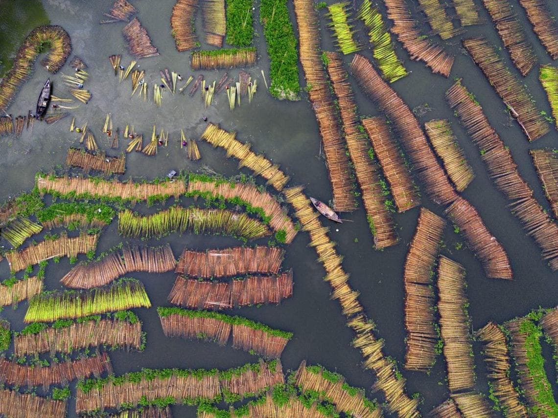 Capturing Ecology 2025 Nature, Food and Farming Winner: "Jute Processing" by Joy Saha