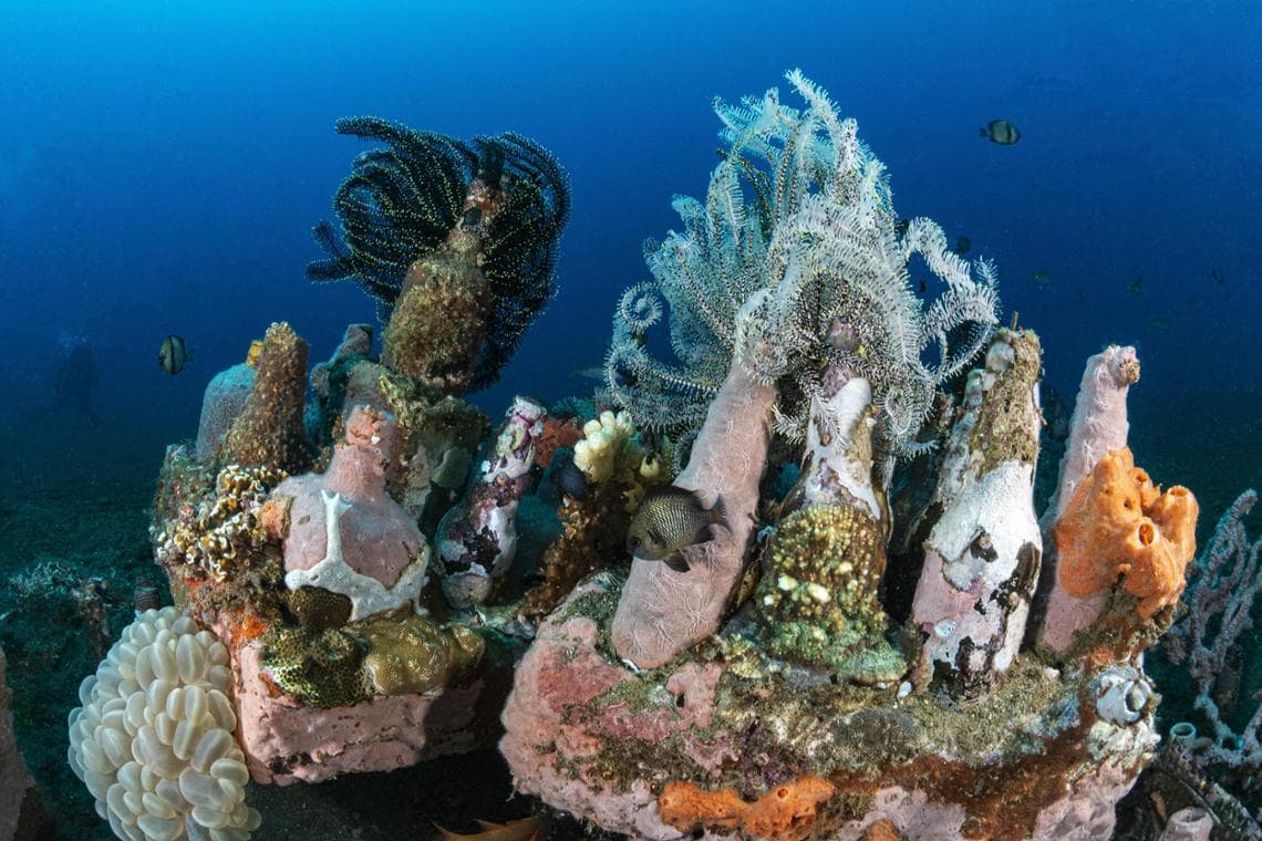 Capturing Ecology 2025 People and Nature Winner: "An unusual backdrop" by Guido Villani