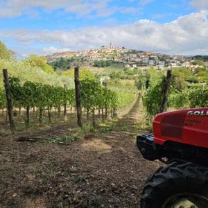 Un sorso di Irpinia da gustare al Borgodangelo
