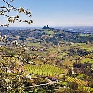 Il futuro della Valpolicella in sei vini, dall’Amarone al Recioto