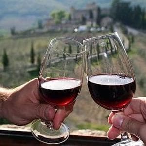 Amarone, sostenibilità e mercati. Il Consorzio: “Puntiamo su Brasile e India”