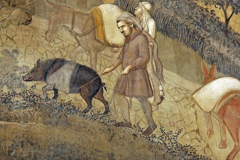 Un dettaglio dettaglio dell’affresco “Effetti in città e campagna del Buongoverno “ di Ambrogio Lorenzetti