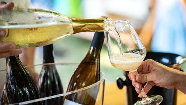 “Raccontiamo il vino”: il governo lancia gli spot in televisione
