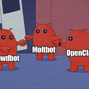 Moltbook ve OpenClaw, herkes onları denemek ister. Ama riskleri de göz önünde bulundurmak lazım