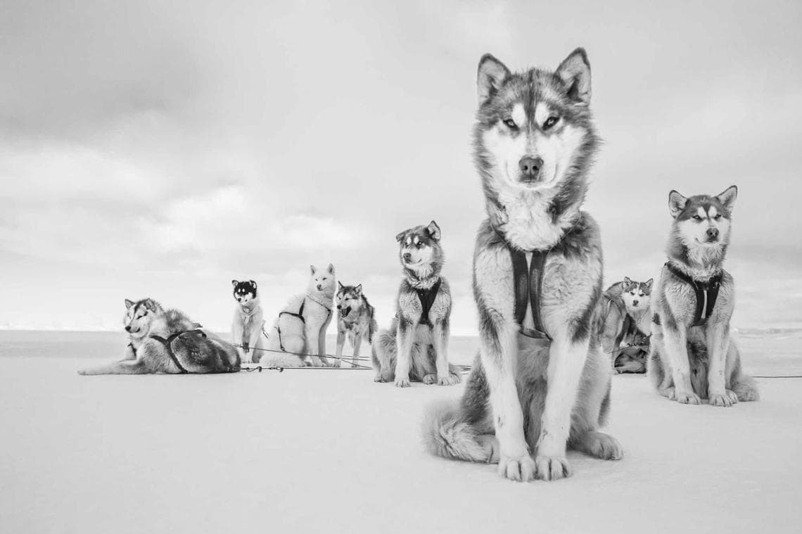 Qaanaaq, Groenlandia, 2015 (foto: Cristina Mittermeier)