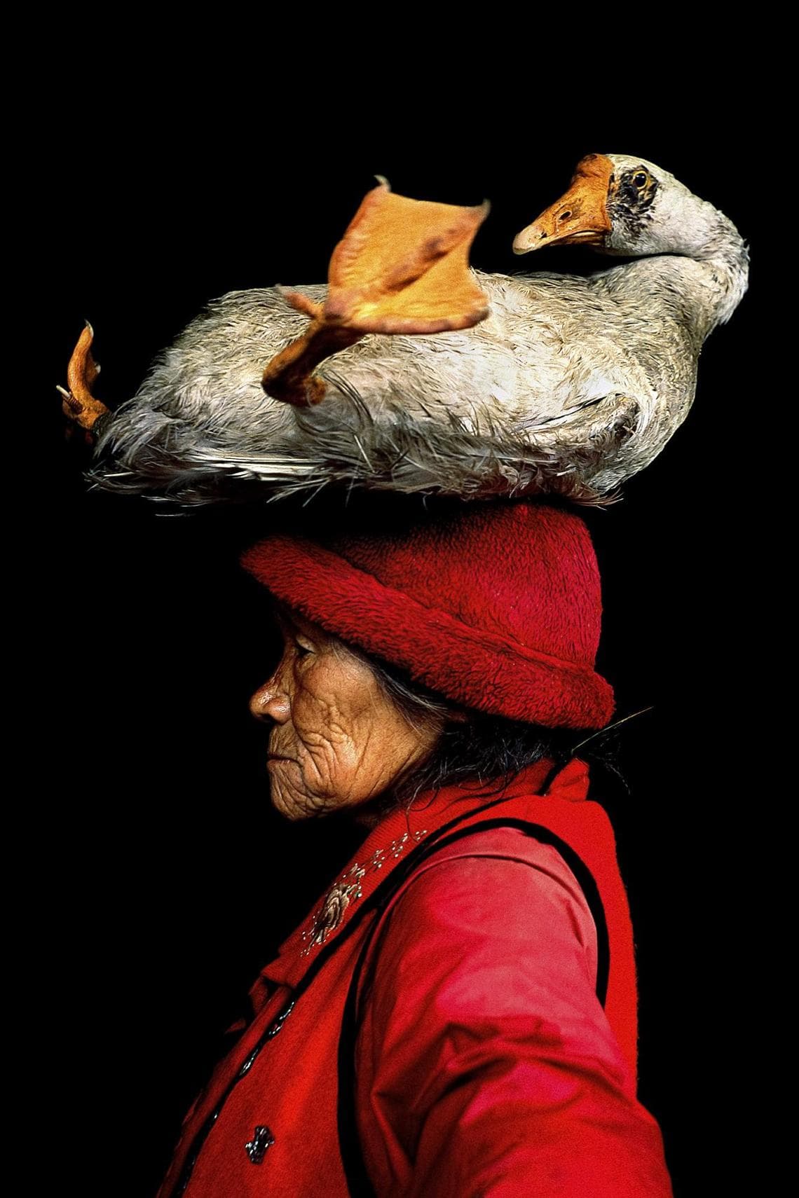 Provincia dello Yunnan, Cina, 2008 (foto: Cristina Mittermeier)
