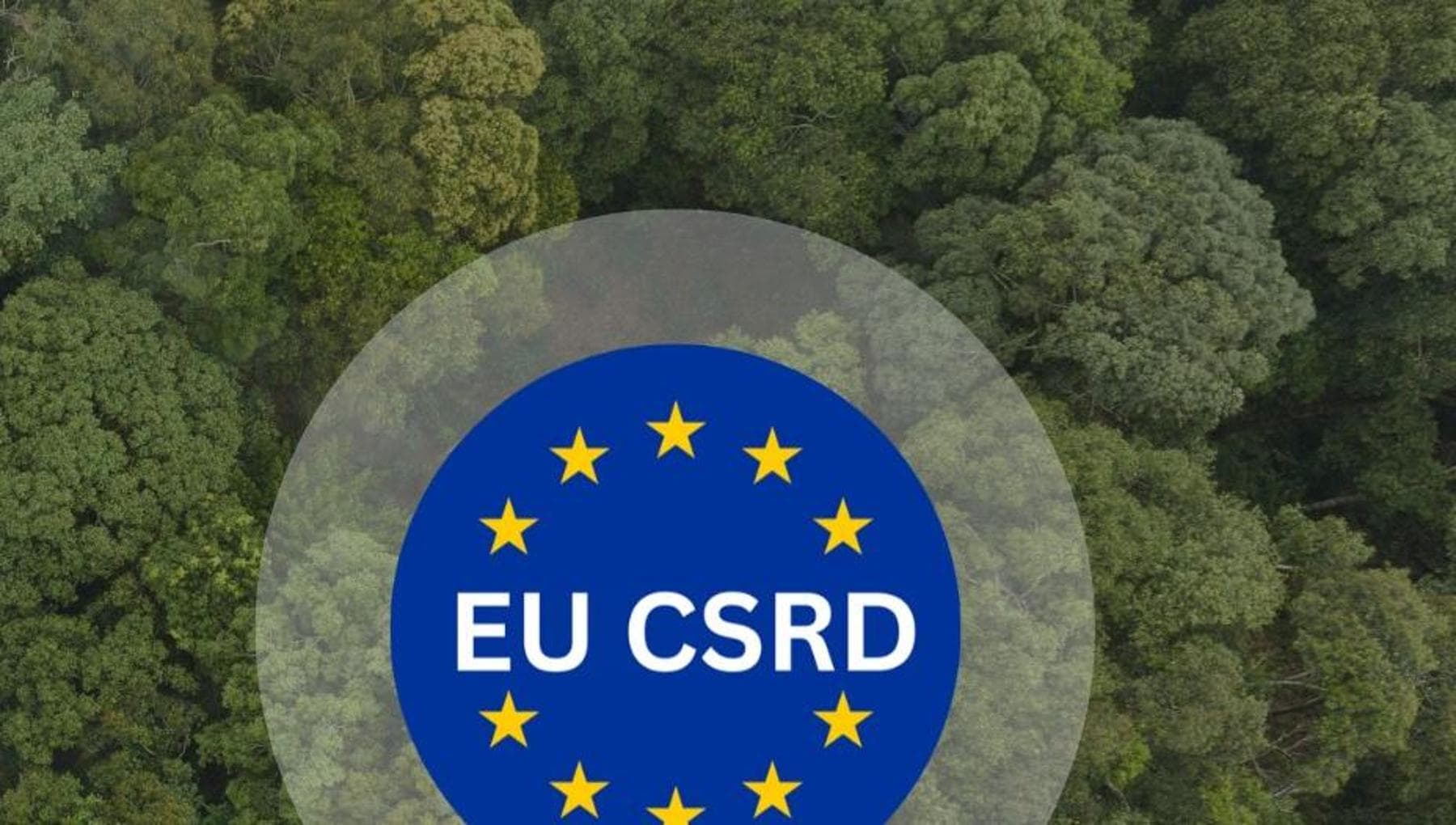 İş kurallarını yeniden yazan “Sürdürülebilirlik Kodu” CSRD 2026 kursu devam ediyor