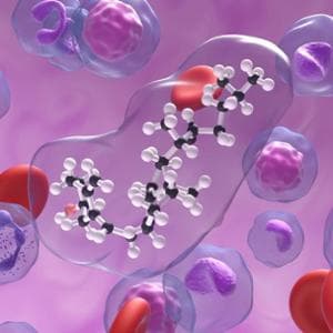 Lipidi: ecco il “sistema di trasporto” segreto delle cellule che aiuta a capire diabete e Alzheimer