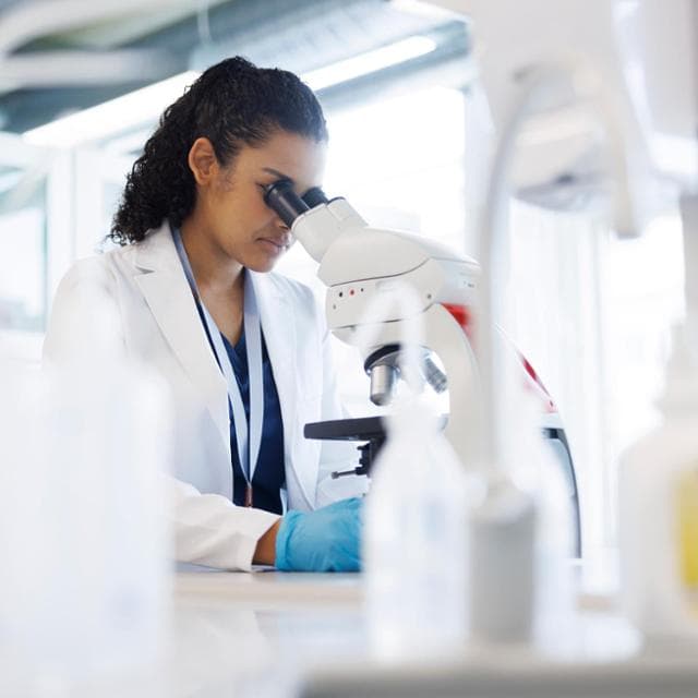 I farmaci per il diabete proteggono i reni: lo prova il killifish