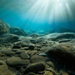La crisi del clima modifica i fondali del Mediterraneo minacciando l’ecosistema