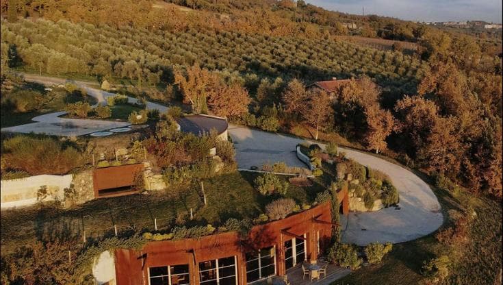 Tenuta Sanoner e il volo degli Aetos, i vini dell’aquila
