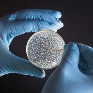 10 antibiyotiğe dirençli 5.000 yıllık bakteri bulundu